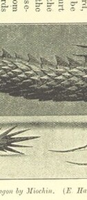 British Library digitised image from page 199 of "Japan and its Art"