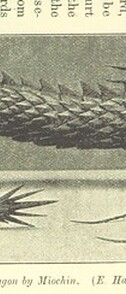 British Library digitised image from page 199 of "Japan and its Art"