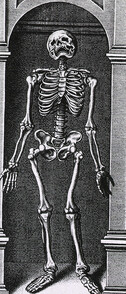 Skeleton Standing in a Small Alcove