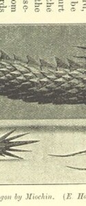 British Library digitised image from page 199 of "Japan and its Art"