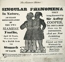 The Siamese twins