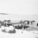 Kulutusosuuskuntien Keskusliiton kokoelma D1974_33_9884