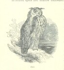 British Library digitised image from page 188 of "The Thames from its Source to the Sea ... Illustrated with ... engravings ... and ... etchings, etc"