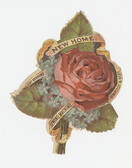 H.H. Whitworth, Agt.