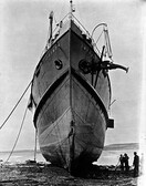 Bow only from W. Nichols