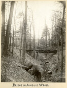 Bridge in Ainslie Wood