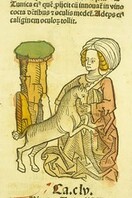 Vnicornus uarius