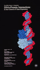 DNA-protein interactions in the control of gene expression