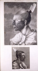 A Collection of Drawings made in the Countries visited by Captain Cook in his First Voyage - caption: 'Portrait of a New Zealand man'