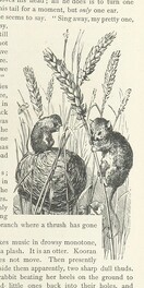 British Library digitised image from page 53 of "Kenneth McAlpine: a tale of mountain, moorland, and sea"