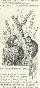 British Library digitised image from page 53 of "Kenneth McAlpine: a tale of mountain, moorland, and sea"