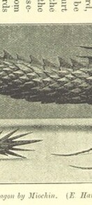 British Library digitised image from page 199 of "Japan and its Art"