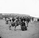 Donkey rides at Kilkee