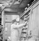 Kulutusosuuskuntien Keskusliiton kokoelma D1974_33_11865BxxB