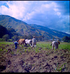CAL14412.JPG