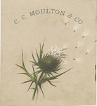 C.C. Moulton & Co.