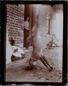 A hunted jackal hanging on the porch of Brickhouse. Mary Gallen-Kallela at the doorway.