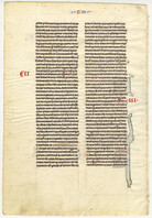 Verso of leaf from the Book of Tobit