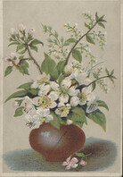 Great Atlantic and Pacific Tea Company