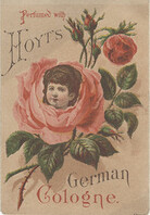 E.W. Hoyt & Co. (Proprietors)