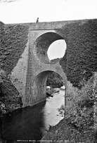 What a spectacle?  A spectacle bridge.