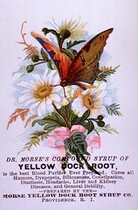Dr. Morse's Compound Syrup of Yellow Dock Root