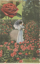 H.W. Buckbee