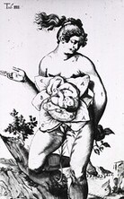 Development of the fetus