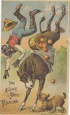 Alden Fruit Vinegar