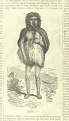 British Library digitised image from page 252 of "Title"
