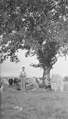 The Cromlech, the boy, the cows and the DOG!
