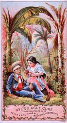 Ayer's Ague Cure Is Warranted To Cure Fever & Ague And All Malarial Disorders