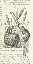 British Library digitised image from page 53 of "Kenneth McAlpine: a tale of mountain, moorland, and sea"