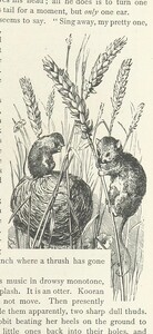 British Library digitised image from page 53 of "Kenneth McAlpine: a tale of mountain, moorland, and sea"