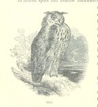 British Library digitised image from page 188 of "The Thames from its Source to the Sea ... Illustrated with ... engravings ... and ... etchings, etc"