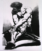 Musculature of the Human Body