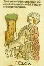 Vnicornus uarius