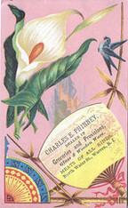 Charles E. Phinney (Dealer)