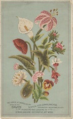 Davis Vertical Feed Sewing Machine Manufactory