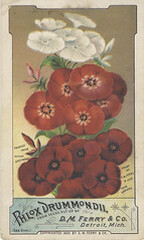 D. M. Ferry & Co.