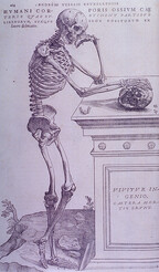 Bone Plate