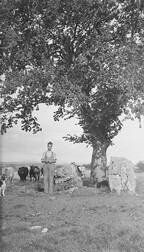 The Cromlech, the boy, the cows and the DOG!
