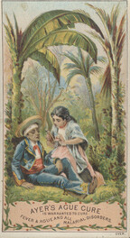 Dr. J.C. Ayer Company