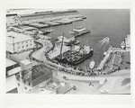 Aerial view of the people in the queue for the trans-Derwent ferry at the Hobart wharves - result of the Tasman Bridge collapse in January (1975)