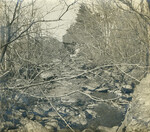 Molyneaux mill