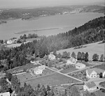 TÃ¸mmerholt