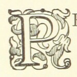 British Library digitised image from page 188 of "Not like Other Girls. A novel"