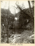 Chedoke Falls