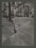 Detail of a boulder covered by snow with forest in the background