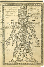 Zodiac man